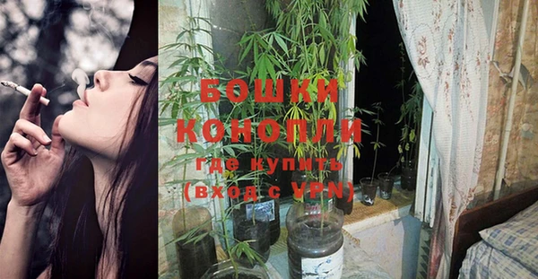 стаф Бородино