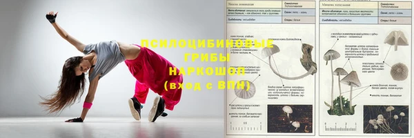 стаф Бородино