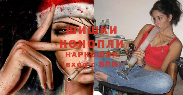 стаф Бородино