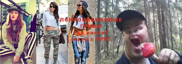 стаф Бородино