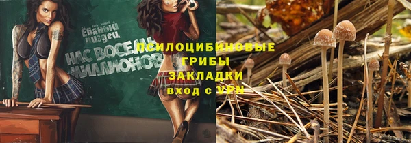 стаф Бородино
