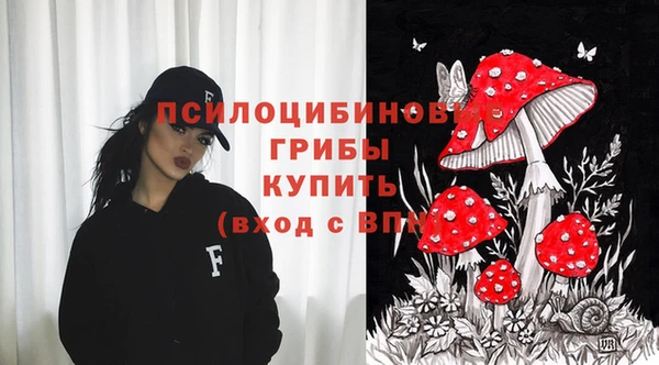 стаф Бородино