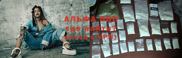 стаф Бородино