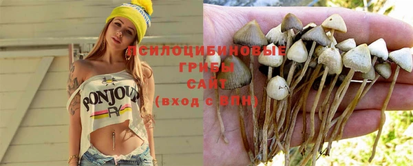 стаф Бородино