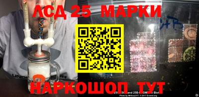 СК Гатчина