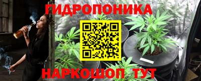 крисы Гагарин