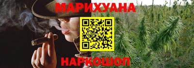 СК Гатчина