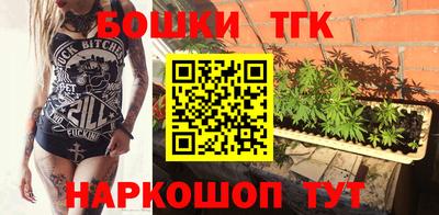 СК Гатчина