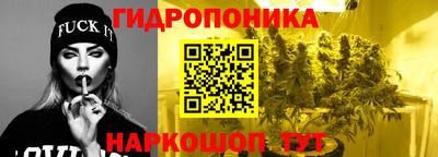 крисы Гагарин