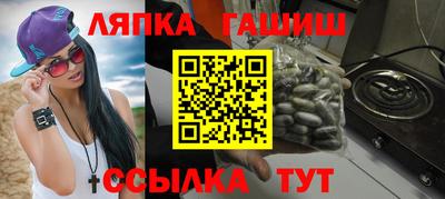 СК Гатчина