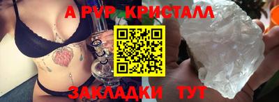 СК Гатчина